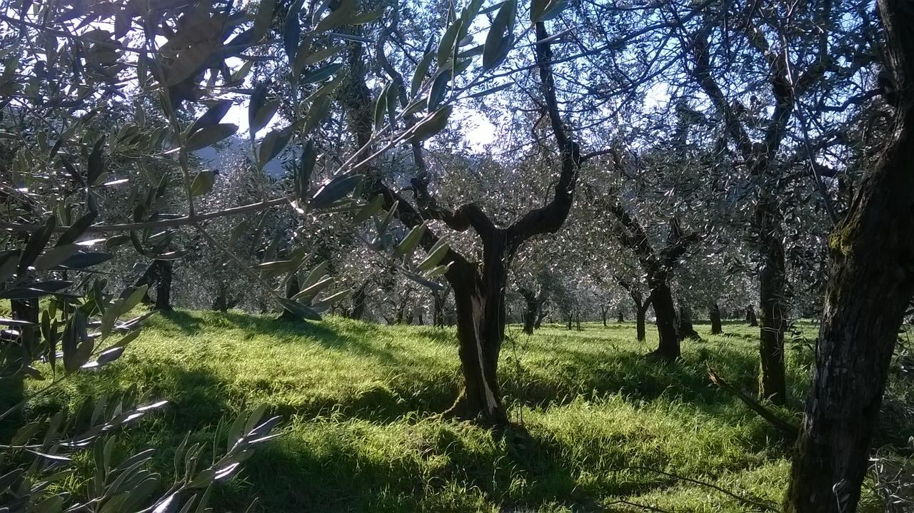 Villa Pacinotti Pistoia Kültér fotó